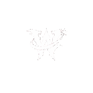 WONDER HATS